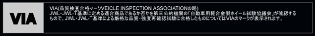 VIAロゴ図