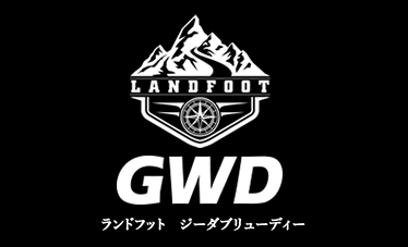 Landgraff ランドグラフDOD 2011年製　1900番台　米国購入 LANDGRAFF DYNAMIC OVERDRIVE Landgraff DOD Sound check only