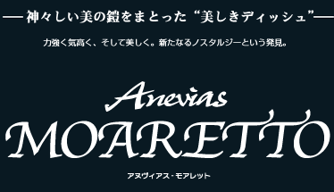  神々しい美の鎧をまとった“美しきディッシュ”
力強く気高く、そして美しく。新たなるノスタルジーという発見。